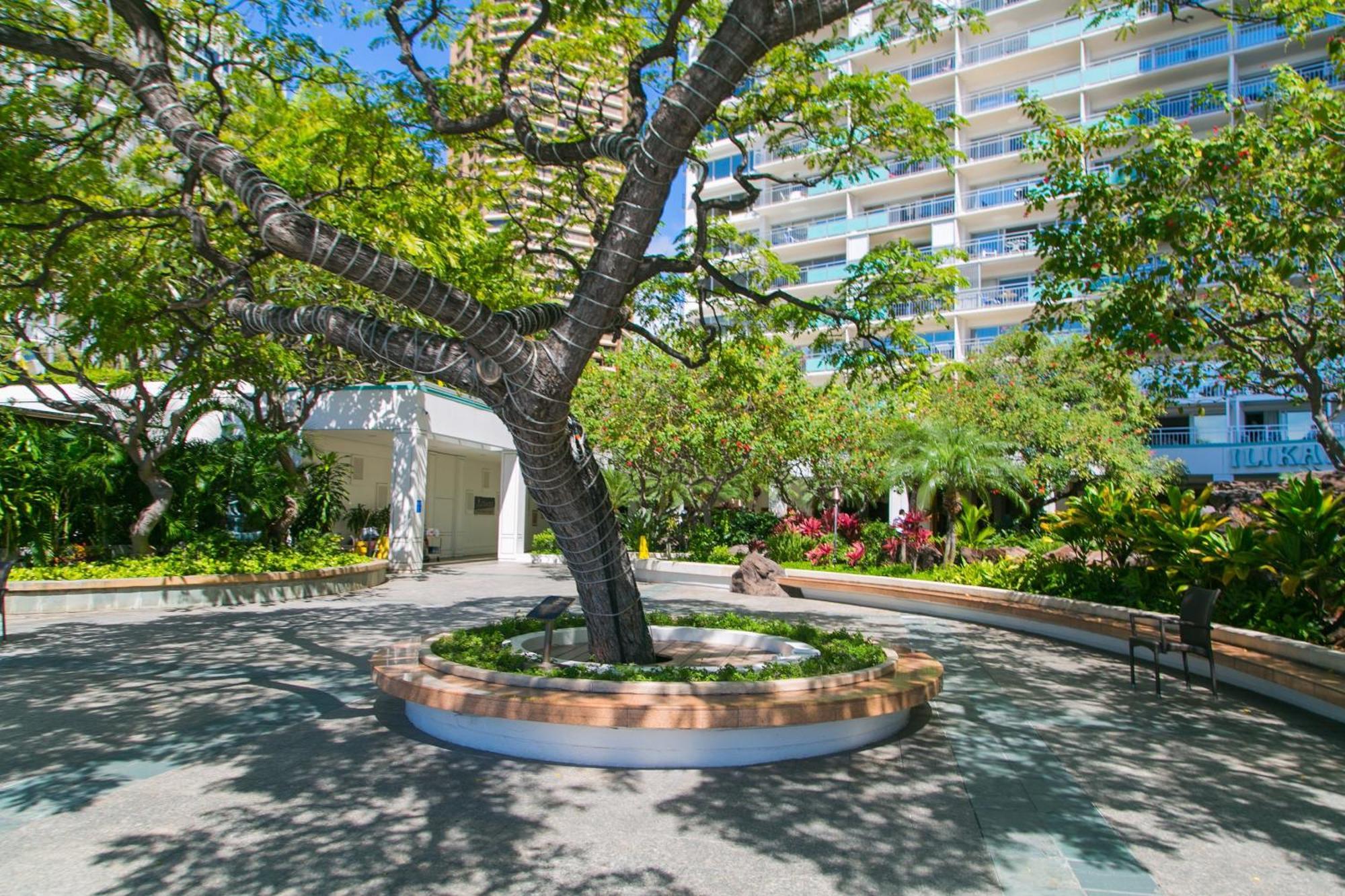 Ilikai Tower 1403 City View 1Br Χονολουλού Εξωτερικό φωτογραφία